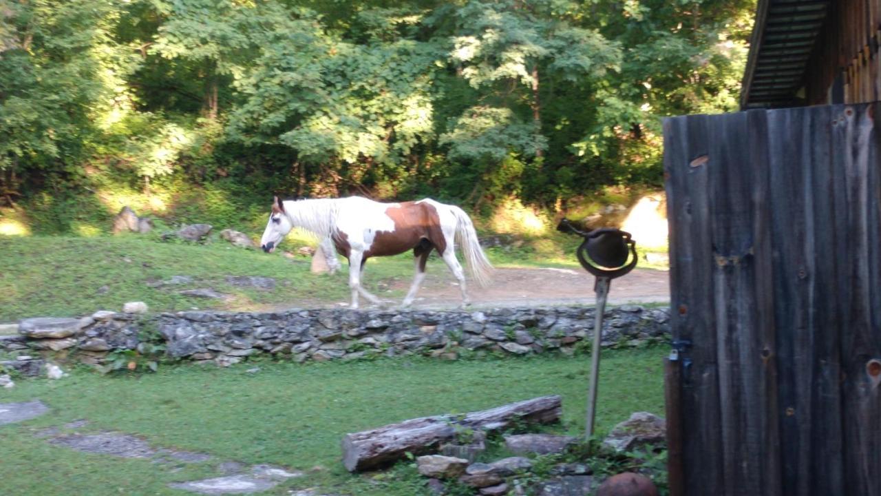 Arrowmont Stables & Cabins Cullowhee Экстерьер фото