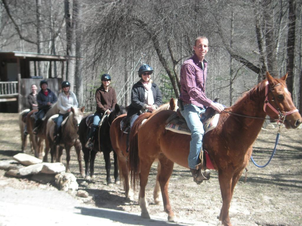 Arrowmont Stables & Cabins Cullowhee Экстерьер фото