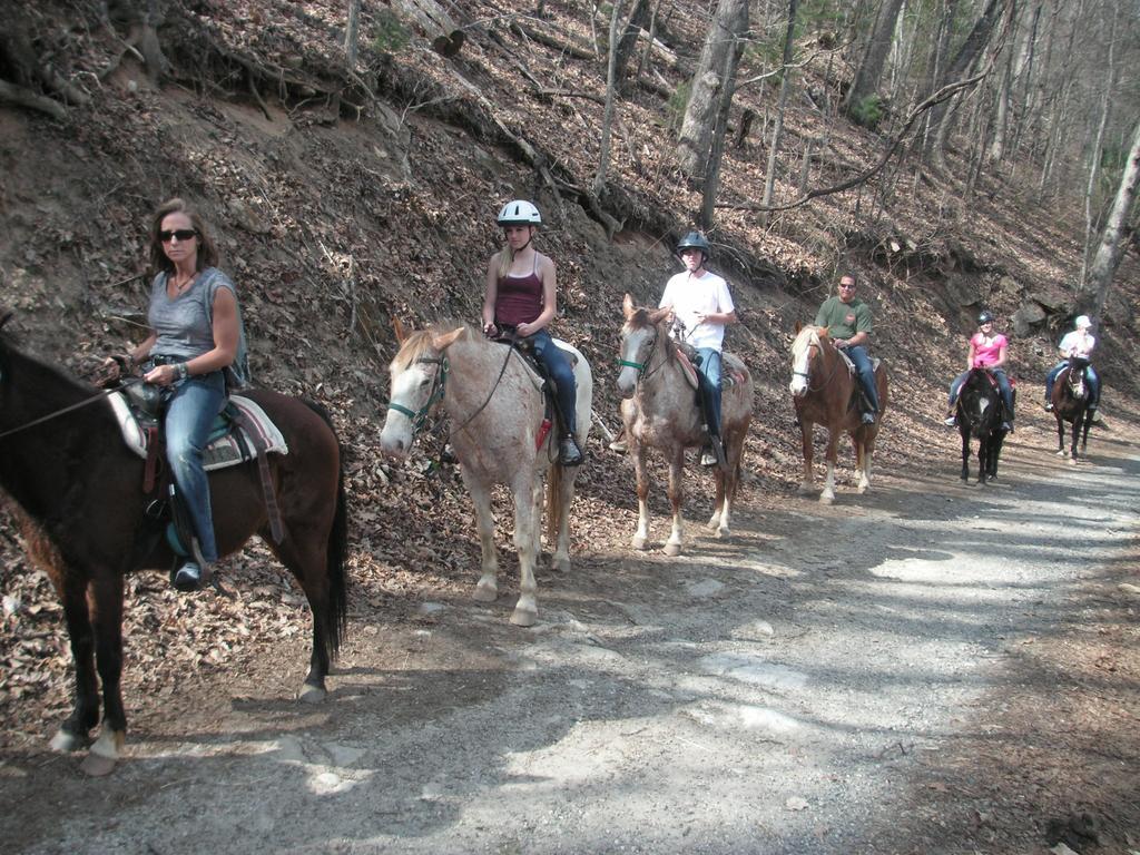 Arrowmont Stables & Cabins Cullowhee Экстерьер фото