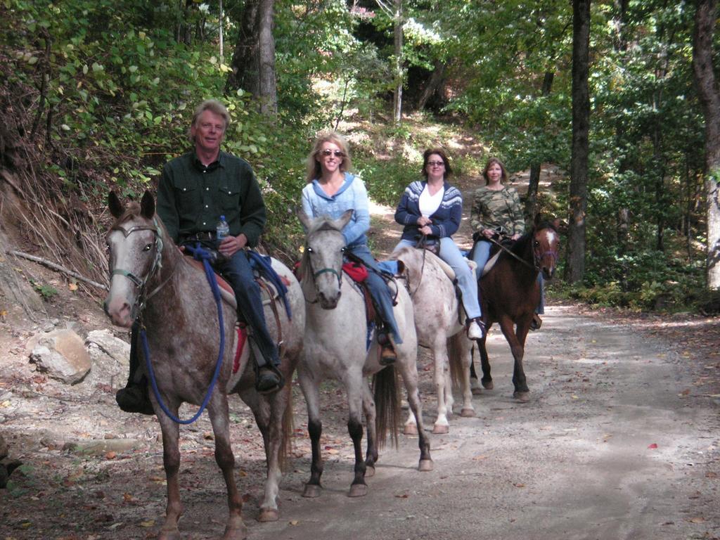 Arrowmont Stables & Cabins Cullowhee Экстерьер фото