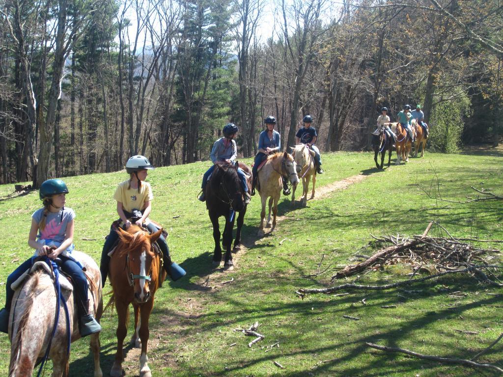 Arrowmont Stables & Cabins Cullowhee Экстерьер фото