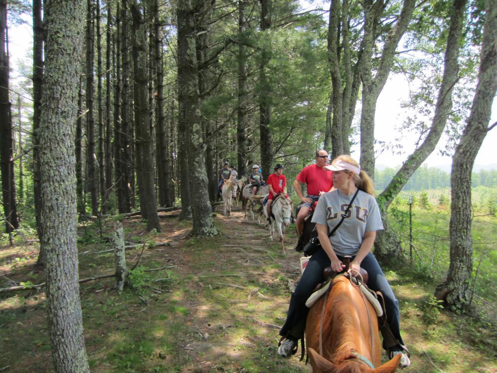 Arrowmont Stables & Cabins Cullowhee Экстерьер фото