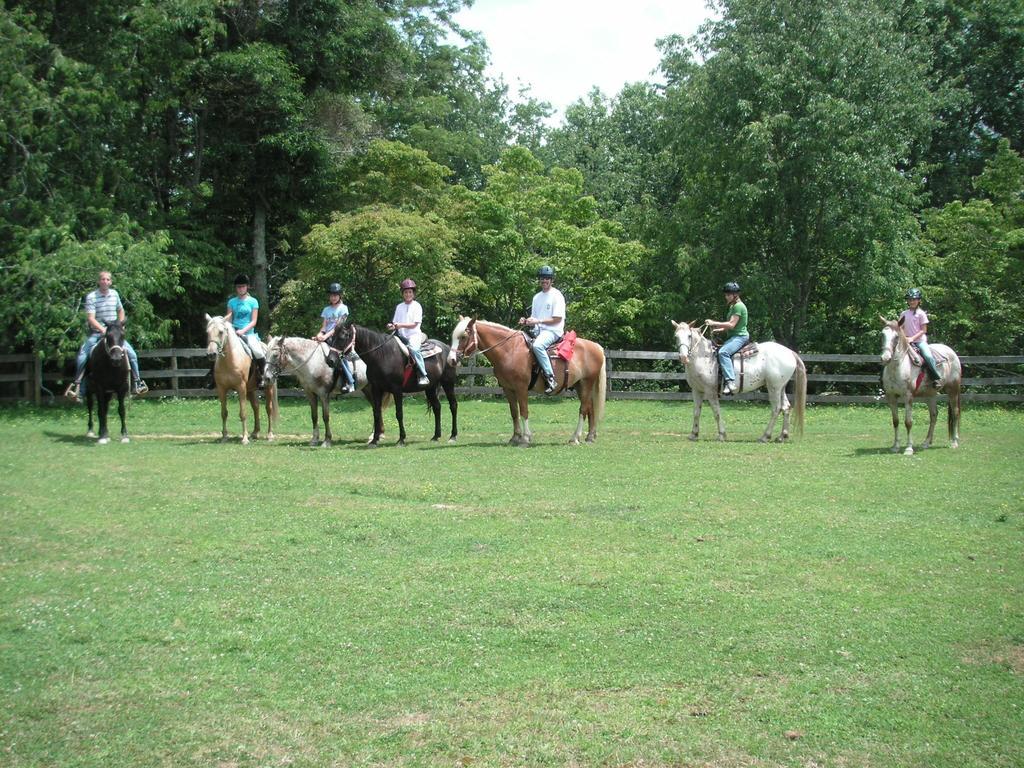 Arrowmont Stables & Cabins Cullowhee Экстерьер фото